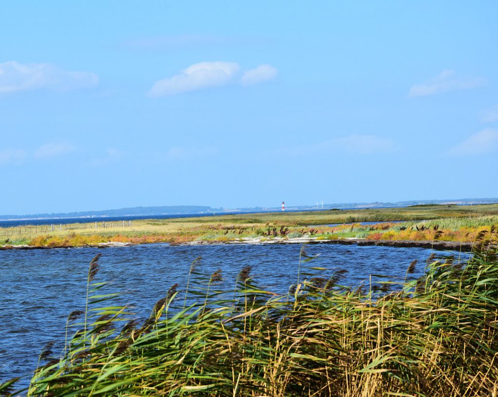 Naturschutzgebiet Geltinger Birk nahe Hasselberg